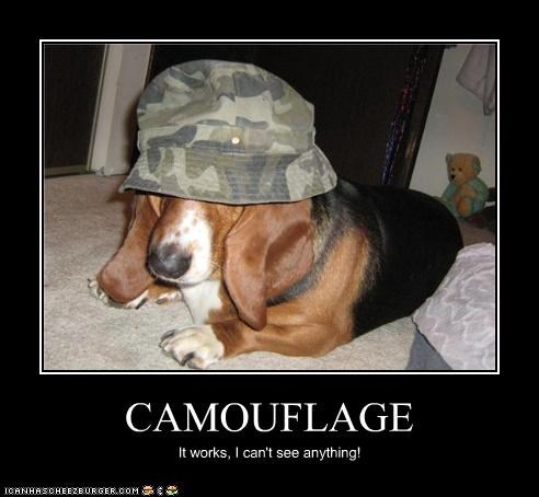 CAMOUFLAGE