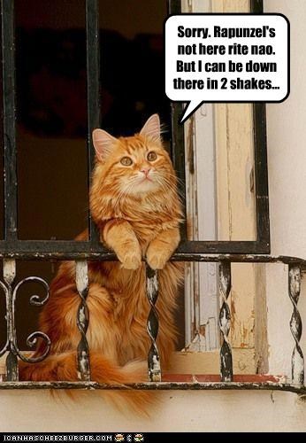 Sorry. Rapunzel's not here rite nao.  But I can be down there in 2 shakes...