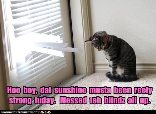 Hoo  boy,  dat  sunshine  musta  been  reely strong  tuday.   Messed  teh  blindz  all  up.