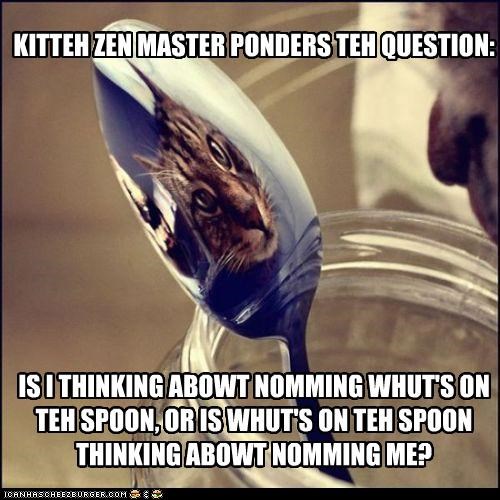 KITTEH ZEN MASTER PONDERS TEH QUESTION:          IS I THINKING ABOWT NOMMING WHUT'S ON  TEH SPOON, OR IS WHUT'S ON TEH SPOON THINKING ABOWT NOMMING ME?