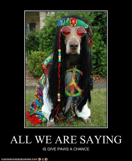 ALL WE ARE SAYING