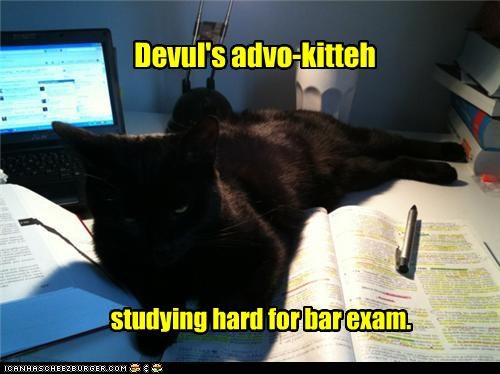 Devul's advo-kitteh