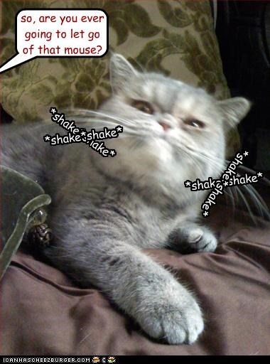 *shake*shake*