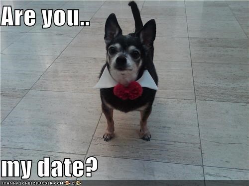Are you..  my date?