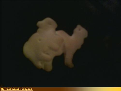 Naughty Naughty Crackers
