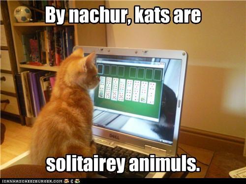 By nachur, kats are