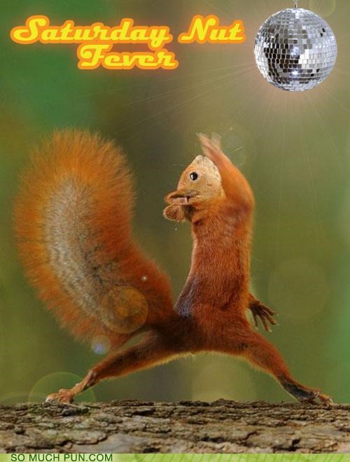 Saturday Nut Fever