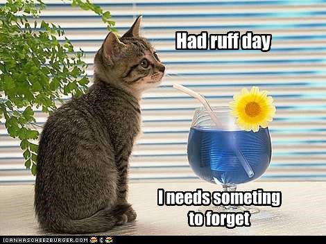Had ruff day