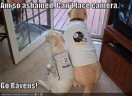 Am so ashamed. Can't face camera.  Go Ravens!