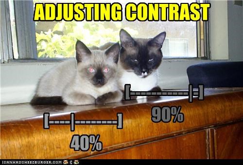 [----|--------]   40%
