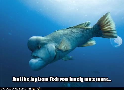 And the Jay Leno Fish was lonely once more...