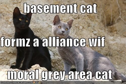 basement cat formz a alliance wif moral grey area cat