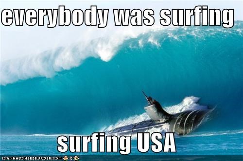 everybody was surfing  surfing USA