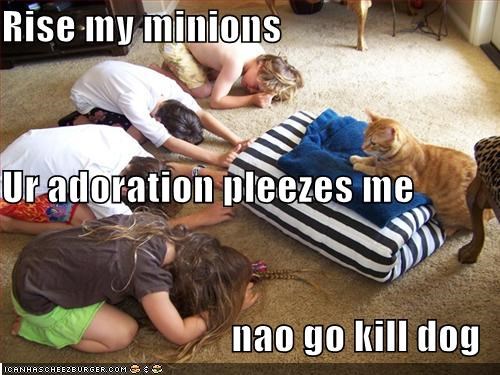 Rise my minions Ur adoration pleezes me nao go kill dog