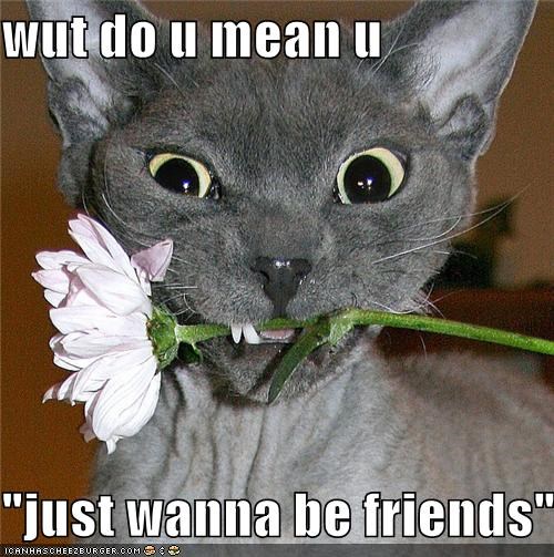 wut do u mean