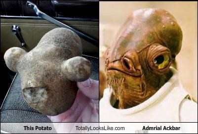 This Potato Totally Looks Like Admrial Ackbar