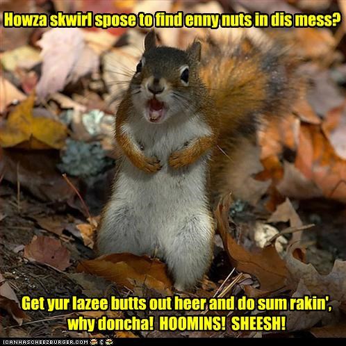 IN CASE YOUSE HADDENT NOTICED, WINTER'S COMIN!