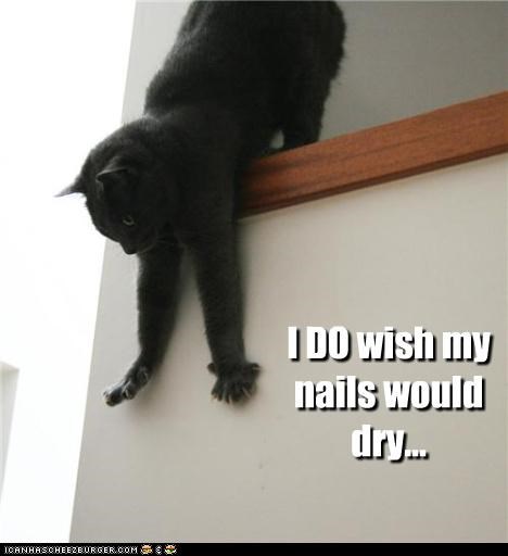 I DO wish my nails would dry.