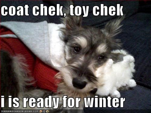 coat chek, toy chek  i is ready for winter