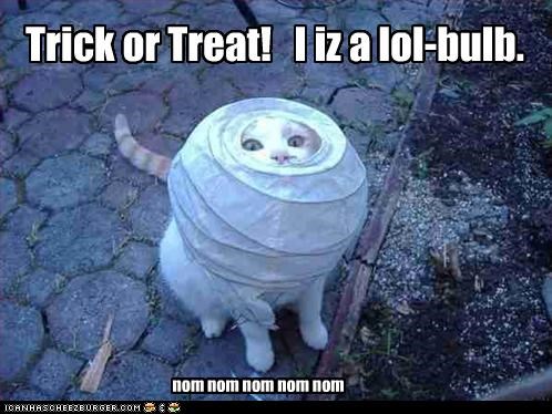 Trick or Treat!   I iz a lol-bulb.
