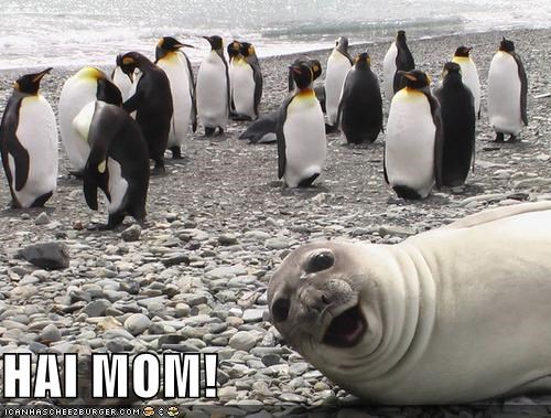 HAI MOM!