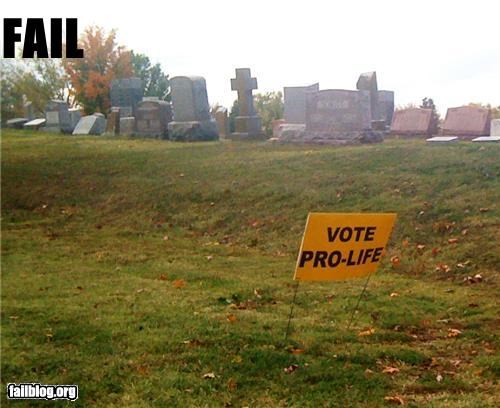 Political Sign Placement Fail