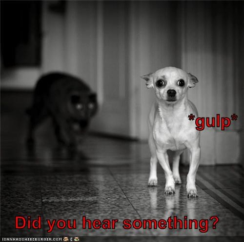 *gulp* Did you hear something?