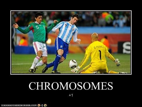 CHROMOSOMES