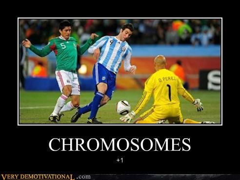 CHROMOSOMES