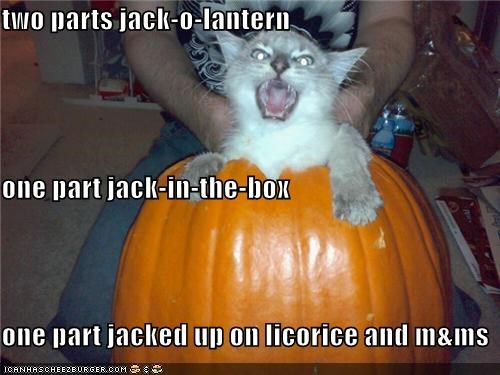 two parts jack-o-lantern one part jack-in-the-box one part jacked up on licorice and m&ms