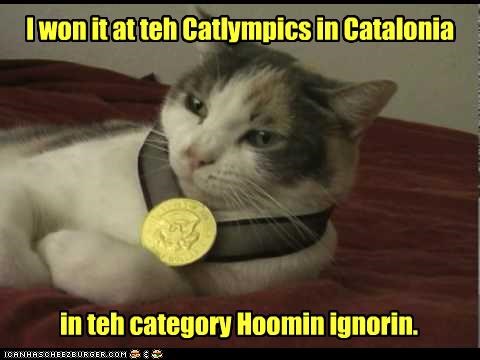 Kitteh Came 2 Catlympic Fame