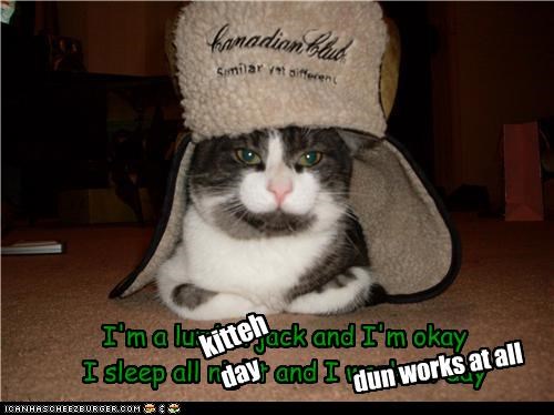 I'm a lumberjack and I'm okay I sleep all night and I work all day