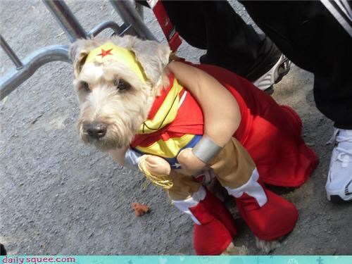 Wonder Woman