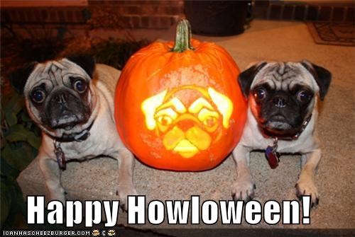 Happy Howloween!