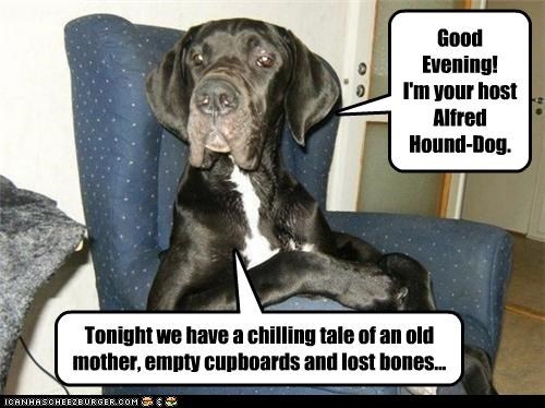Good Evening! I'm your host Alfred Hound-Dog...