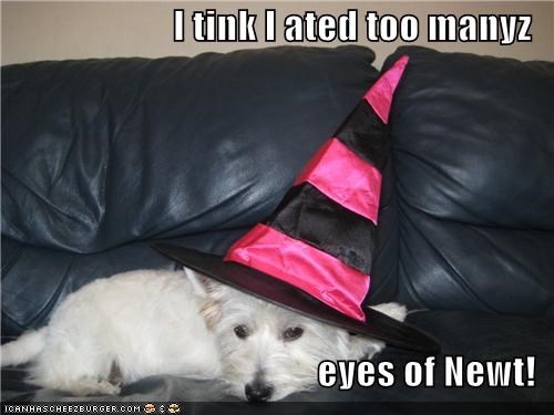 I tink I ated too manyz  eyes of Newt!