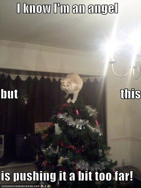I know I'm an angel but                                          this is pushing it a bit too far!
