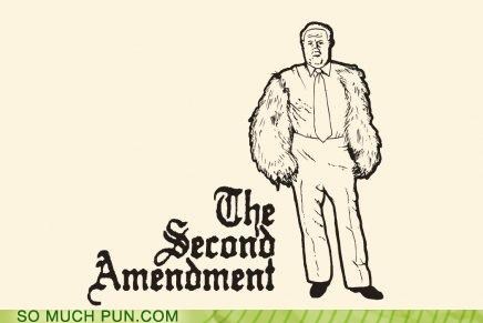The Second Ammendment