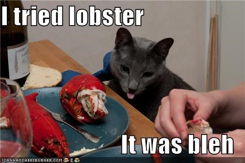 I tried lobster  It was bleh