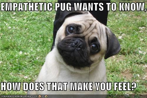 EMPATHETIC PUG WANTS TO KNOW,  HOW DOES THAT MAKE YOU FEEL?
