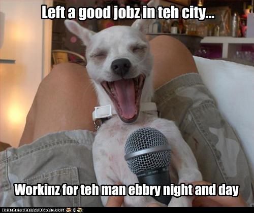 Left a good jobz in teh city...