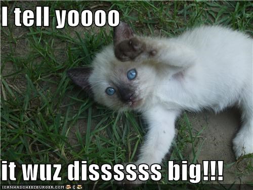 I tell yoooo  it wuz dissssss big!!!