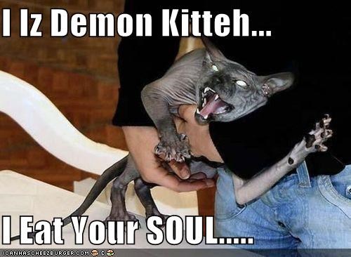 I Iz Demon Kitteh...  I Eat Your SOUL.....