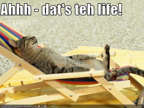 Ahhh - dat's teh life!