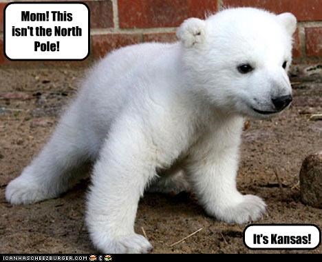 Mom! This isn't the North Pole! It's Kansas!