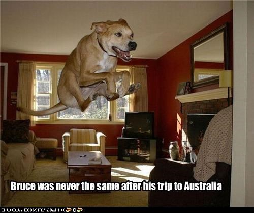 Bruce was never the same after his trip to Australia