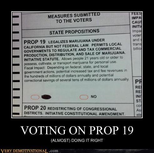 VOTING ON PROP 19