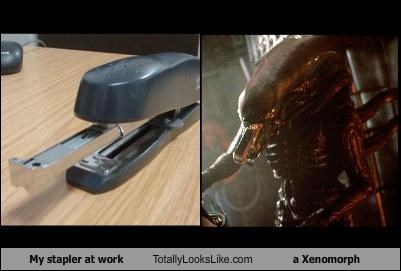 My stapler at work Totally Looks Like a Xenomorph
