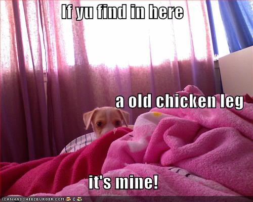If yu find in here a old chicken leg it's mine!
