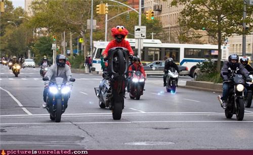 The Leader of the Pack
